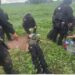 En Mazatlán, el Grupo Interinstitucional detiene a un civil tras agresión