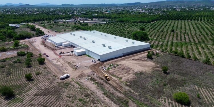 Nueva planta de ATR-Sumitomo en Escuinapa impulsa inversión y genera empleos en Sinaloa