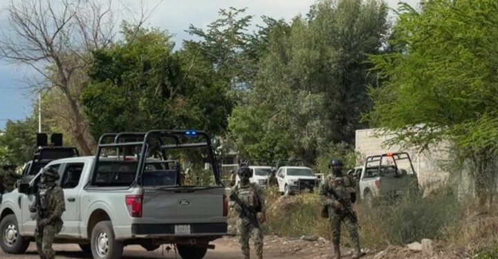 Enfrentamientos entre Marina y grupo armado en Campo El Diez movilizan fuerte operativo