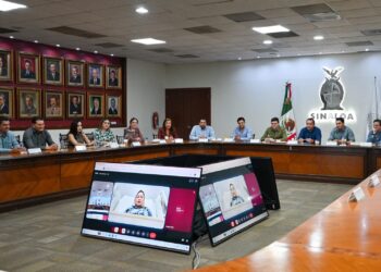 Secretario de Salud informa que Yeraldine Bonilla se recupera favorablemente tras cesárea; bebé está en buen estado