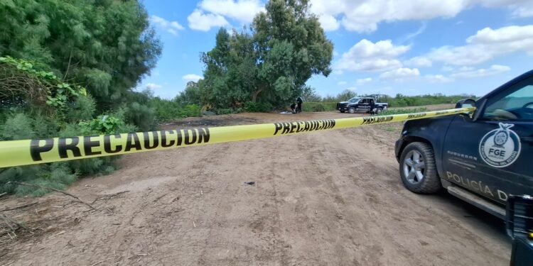 Encuentran restos óseos en tierras de cultivo al surponiente de Culiacán