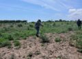 Localizan restos óseos en tierras de cultivo de Costa Rica