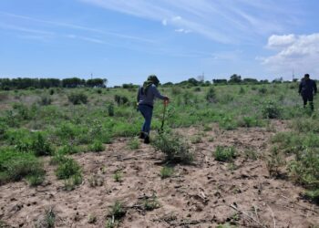 Localizan restos óseos en tierras de cultivo de Costa Rica