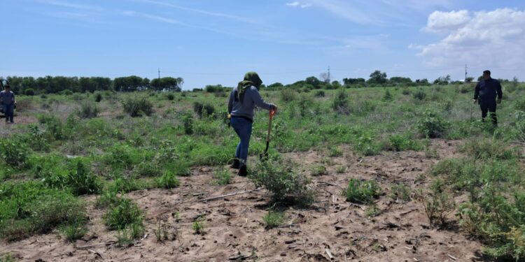Localizan restos óseos en tierras de cultivo de Costa Rica