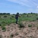 Localizan restos óseos en tierras de cultivo de Costa Rica