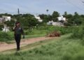 Encuentran asesinado a hombre desconocido en Lomas de Tamazula