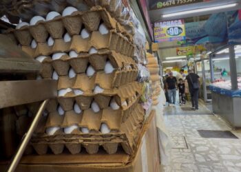 Comerciantes del Garmendia descartan “disparo” en precio del huevo; cartera ronda los 76 pesos