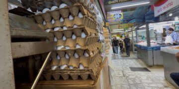 Comerciantes del Garmendia descartan “disparo” en precio del huevo; cartera ronda los 76 pesos