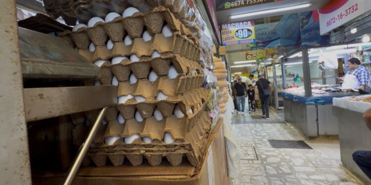 Comerciantes del Garmendia descartan “disparo” en precio del huevo; cartera ronda los 76 pesos