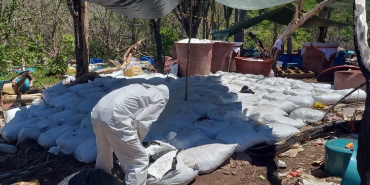 Más de 16 toneladas de metanfetamina fueron aseguradas en Sinaloa