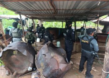 Localizan y destruyen laboratorios de drogas sintéticas en Guerrero