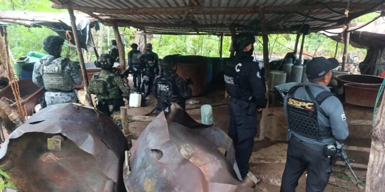 Localizan y destruyen laboratorios de drogas sintéticas en Guerrero