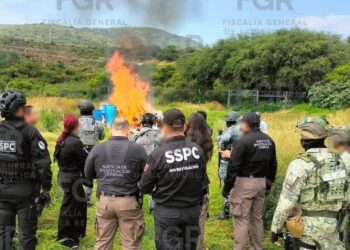 Incinera FGR más de 600 kilogramos de narcóticos y más de 4 mil unidades de pastillas