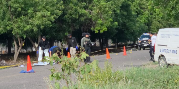 Mujer muere arrollada en la carretera La 20; permanece sin identificar