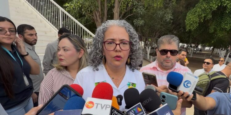 “Hay avances, pero no han sido suficientes para que la ciudadanía se sienta totalmente segura”: Graciela Domínguez