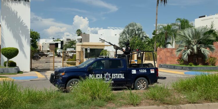 Aseguran al menos siete vehículos durante operativo de PEP y Ejército en La Isla Musala