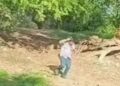 Muere vecino de Costa Rica tras ser atacado por abejas