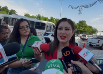 Bajo precio del camarón pone en duda rentabilidad de la próxima temporada en Sinaloa