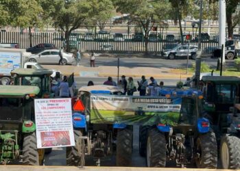 Productores de Sinaloa anuncian manifestación durante visita de Claudia Sheinbaum a Culiacán