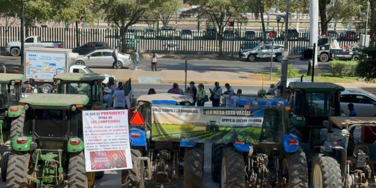 Productores de Sinaloa anuncian manifestación durante visita de Claudia Sheinbaum a Culiacán