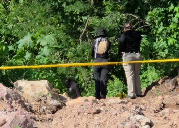 Localizan cuerpo en avanzado estado de descomposición en Alturas del Sur