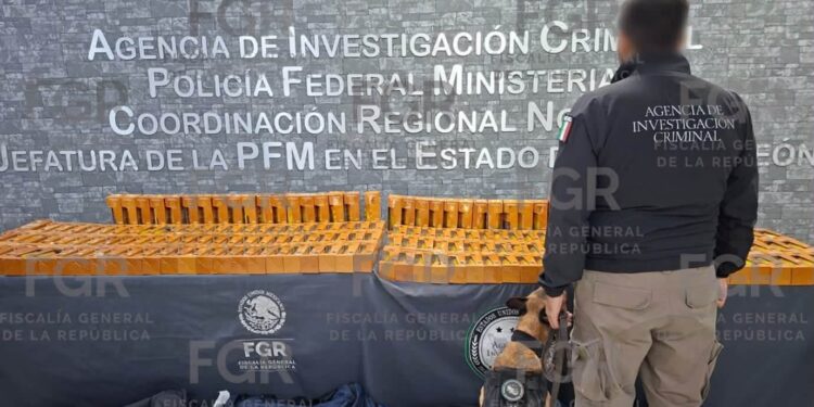 FGR asegura 94.5 litros de cocaína y a una persona en el Aeropuerto