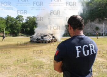 FGR incinera más de 1.8 toneladas de narcóticos en Oaxaca