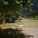 Asesinan a balazos a joven frente a un negocio de snacks en la colonia Esperanza