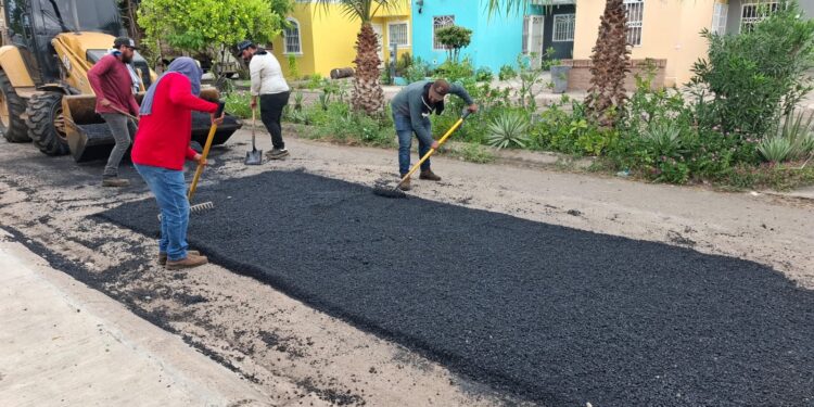 Más calles en atención: Ayuntamiento avanza con trabajos de bacheo