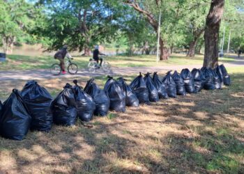 Trabajos de limpieza y acondicionamiento registran un 65 por ciento de avance en el Parque Las Riberas
