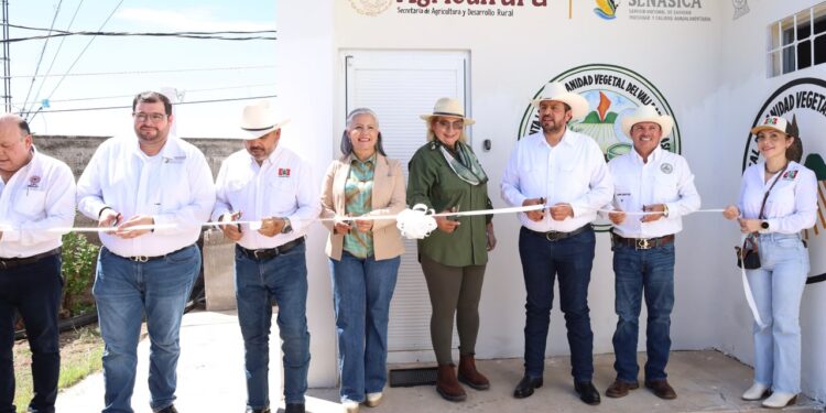 Inaugura Ismael Bello Esquivel, laboratorio de insectos benéficos para la agricultura en la Región del Evora