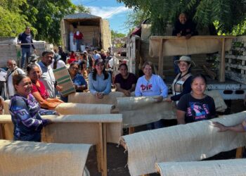 Gobierno del Estado otorga apoyos a 175 familias de La Pitahaya, Guasave