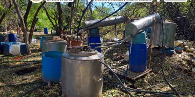 Marina y autoridades federales inhabilitan laboratorio clandestino de drogas sintéticas en Sinaloa