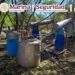 Marina y autoridades federales inhabilitan laboratorio clandestino de drogas sintéticas en Sinaloa