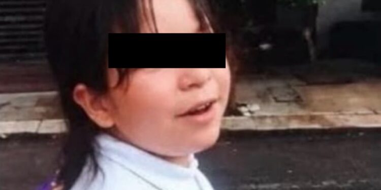 ¡Buscan desesperadamente a Diana Guadalupe! Niña de 11 años desaparece tras salir de su casa en Culiacán