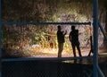 Asesinan a balazos a un joven en el acceso al fraccionamiento Palmanova, en Culiacán