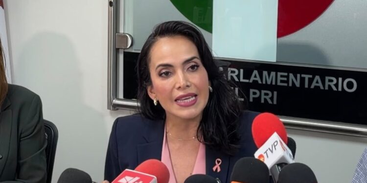 Se agrava la violencia contra las mujeres en Sinaloa: suman 16 asesinadas en octubre y alertan por aumento de feminicidios