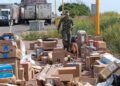 Inspecciones de seguridad portuaria en Mazatlán, se localizaron presunta marihuana y cigarrillos electrónicos con cannabinoides