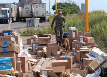 Inspecciones de seguridad portuaria en Mazatlán, se localizaron presunta marihuana y cigarrillos electrónicos con cannabinoides