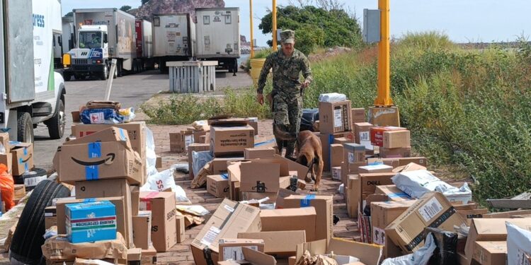 Inspecciones de seguridad portuaria en Mazatlán, se localizaron presunta marihuana y cigarrillos electrónicos con cannabinoides
