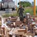 Inspecciones de seguridad portuaria en Mazatlán, se localizaron presunta marihuana y cigarrillos electrónicos con cannabinoides