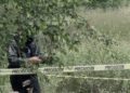 Localizan a hombre decapitado junto al río Culiacán; buscan la cabeza entre la maleza