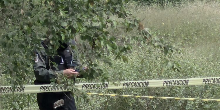 Localizan a hombre decapitado junto al río Culiacán; buscan la cabeza entre la maleza