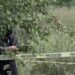 Localizan a hombre decapitado junto al río Culiacán; buscan la cabeza entre la maleza