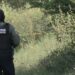 Localizan a hombre decapitado junto al río Culiacán; buscan la cabeza entre la maleza